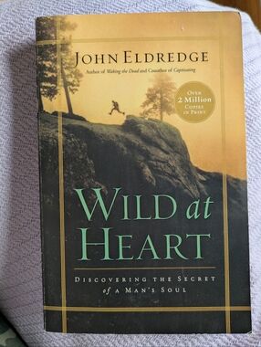Wild at Heart by John Eldredge – Paperback – Christian Men’s Spiritual Growth